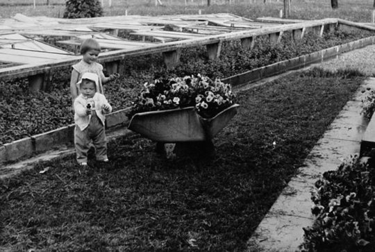 Historie Gärtnerei Weisshaupt