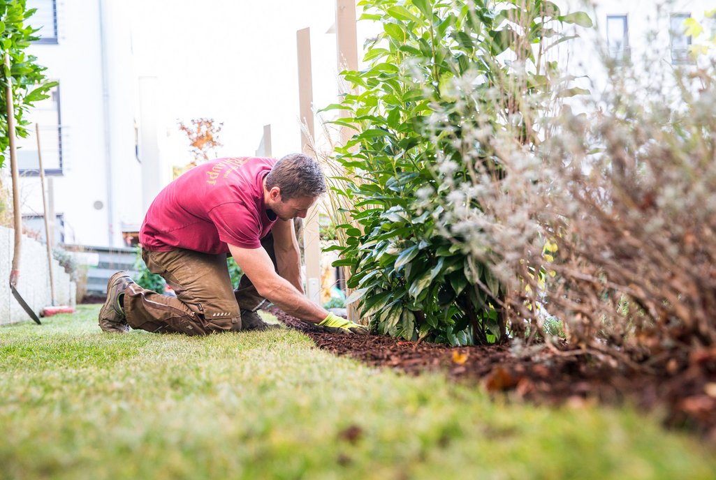 Gärtner bei der Gartenpflege