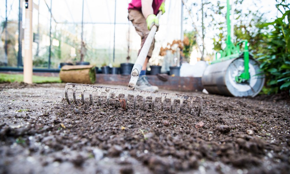 Gartenpflege und Umbau