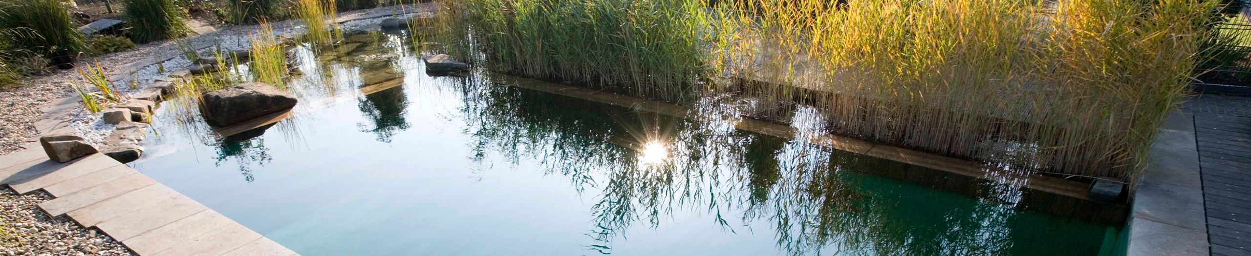 Naturpool mit Pflanzen und Spiegelung